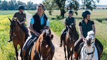 Horseback riding around Doñana National Park