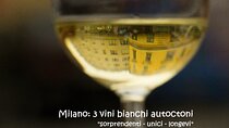 Milan: 3 surprising and unique native white wines