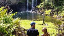 Hilo Waterfall Swim and Hike with Hilo Cruise Ship Pickup