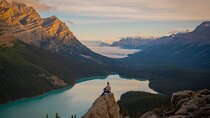 Emerald Lake,Natural Bridge, Peyto Lake Small Group Half Day Tour