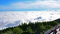 Mt. Fuji 5th Station Arakurayama Sengen Park, Oshino Hakkai Tour