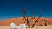 3 Day Guided Sossusvlei Tour from Windhoek Lodging