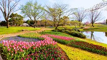 Tokyo Day Trip Showa Kinen Park Seasonal Flowers and Nature Walk