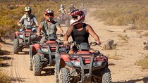Agadir: Desert ATV Adventure with Tree-Climbing Goats