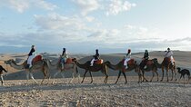 Agafay Desert Camel Ride & Sunset Dinner