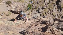 Santiago Metropolitan Region Rock Climbing Experience