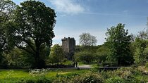 Kiss the Blarney Stone Tour from Dublin