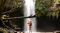 Waterfall & Rainforest Hiking Adventure with Hotel Pickup