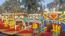  Xochimilco Floating Gardens and Coyoacan Private Tour