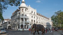 Private Historical Day Tour from Colombo and Negombo