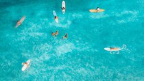 Tenerife Paddle Surf and Snorkeling Experience