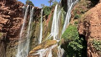 Private Ouzoud Waterfalls Excursion from Marrakech 