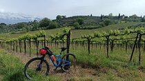 Mountain biking in the Tuscan Hills