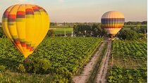 Hot Air Balloon Ride over the Vineyards with Wine Toast