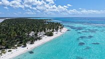Saona Island Premium Discovery Tour from Punta Cana or Bayahíbe