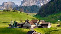 Appenzell Cow milking experience from Zurich with alpine scenery