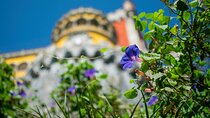 Sintra Pena Palace and Park Skip The Line Tickets
