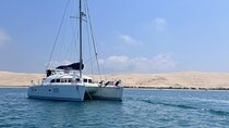 Catamaran Wine and Gourmet Cruise in Arcachon