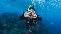Side Scuba Diving for Beginners with Lunch and Transfers