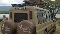 3-Day Serengeti and Ngorongoro Safari with Guide