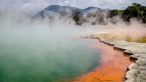 Geothermal & Nature Full Day Private Tour : Rotorua & Taupo