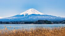 Full Day Tour in Mt. Fuji and Hakone with English Speaking Driver