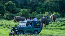 From Ella - Udawalawe Safari & Transfer to Other Locations