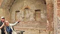 Skip the Line Pompeii Guided Tour from Sorrento