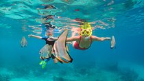 Ras Mohamed and White Island Snorkeling Trip at Sharm El Sheikh