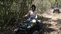 ATV Mangrove Adventure