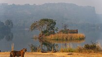 Ranthambore National Park