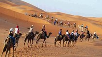 Private Luxor City Horse and Camel Ride Adventure