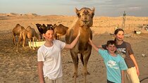 All in One Dubai Abu Dhabi Tour & Evening Desert Safari 