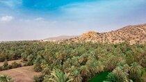 Day trip to Taroudant from Agadir