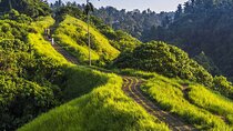 Ubud Story Walking Tour by Spanish, Japanese, English Guide