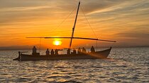 From Valencia: Albufera Boat Ride & Food (Paella) Included