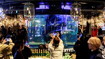 Unique Tokyo Dining Experience with Live Ama Diving