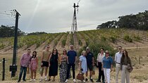 Full Day Wine Tasting Tour in McLaren Vale