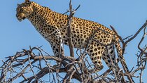 4 Day Etosha National Park