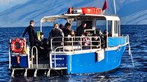 3-Tank Dive Featuring the Molokini Crater
