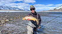 2 Hour Private Guided Walk Wade Fishing at Jackson Hole