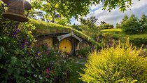 Private Hobbiton Movie Set & Waitomo Caves in a Day from Auckland