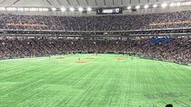 Catch a Baseball Game in Tokyo with a Local - Tickets Included