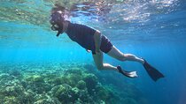 Snorkeling at Menjangan Island Bali Hidden Underwater Gem