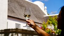 Cape Town Hop- On Hop -Off Tour and Groot Constantia Wine Tasting