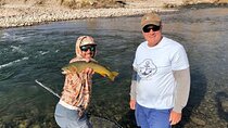 3 Hour Private Guided Fly Fishing Walk Wade at Jackson Hole