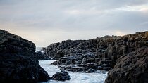 Private Tour of Giant Causeway from Belfast