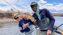 Full Day Traditional Driftboat Fishing Jackson Hole