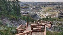 1 Day Customizable Badlands Tour of Drumheller Dinosaurs Hoodoos