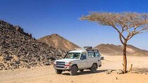 Jeep Safari Adventure Desert With Dinner And Show In Marsa Alam